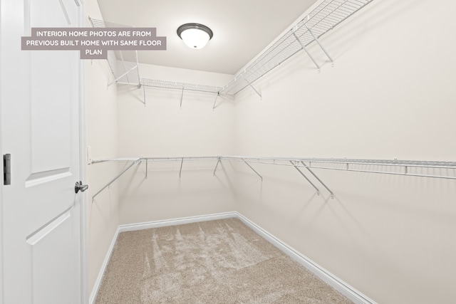 spacious closet featuring light colored carpet