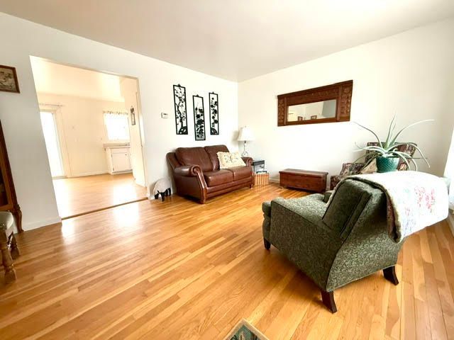 living room with light hardwood / wood-style flooring