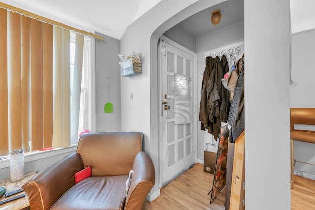 entryway featuring light wood-type flooring and a healthy amount of sunlight