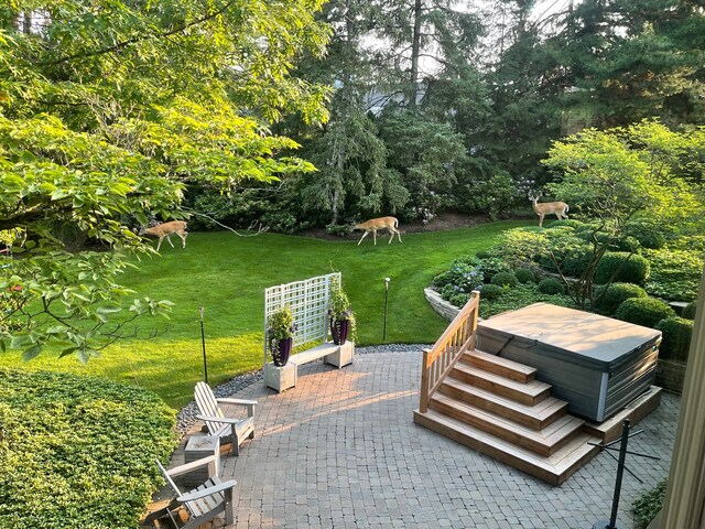 exterior space featuring a lawn, a jacuzzi, and a patio area