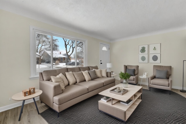 living room featuring hardwood / wood-style floors