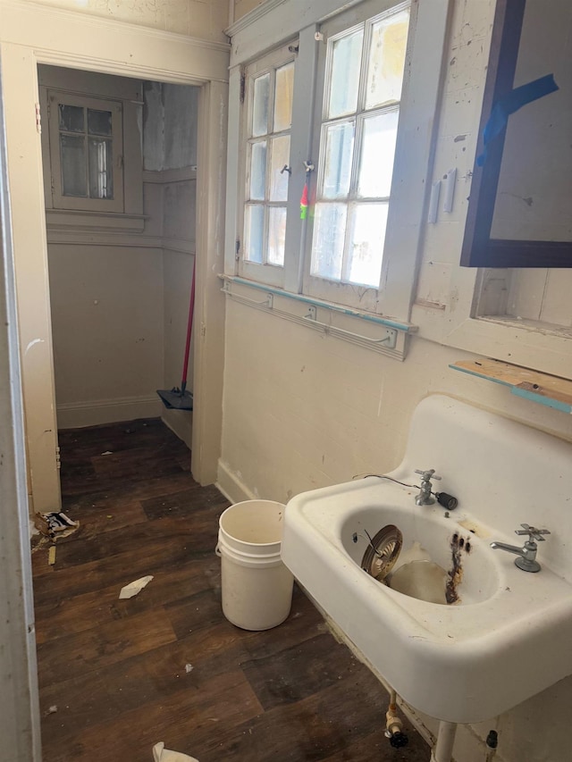 bathroom featuring wood-type flooring