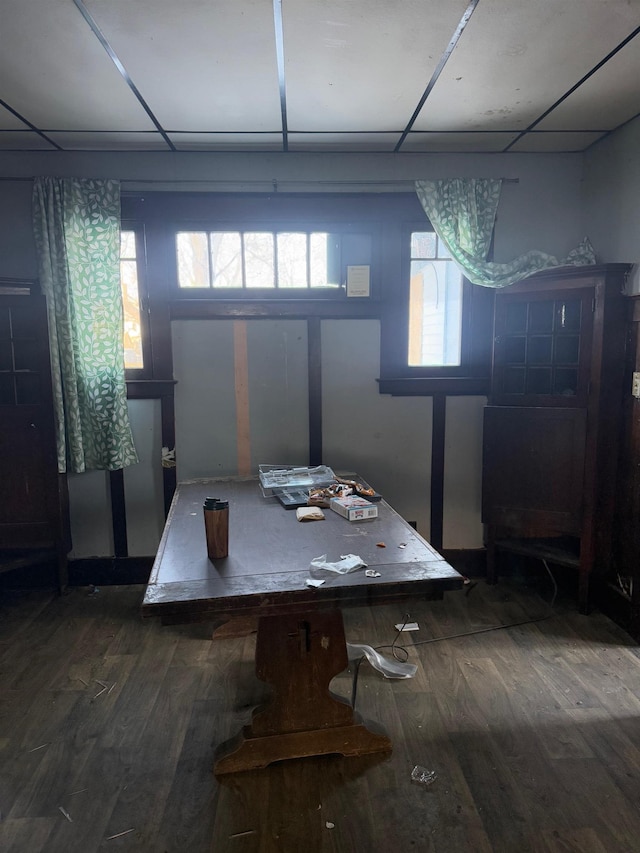 dining area featuring a paneled ceiling, a healthy amount of sunlight, and hardwood / wood-style flooring