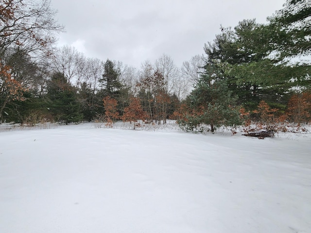 view of yard covered in snow