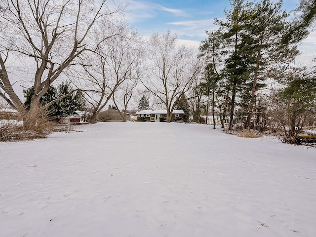 view of yard layered in snow