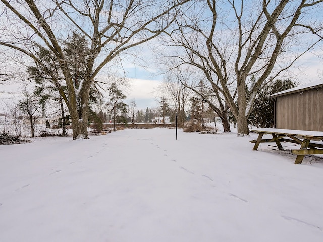 view of yard covered in snow