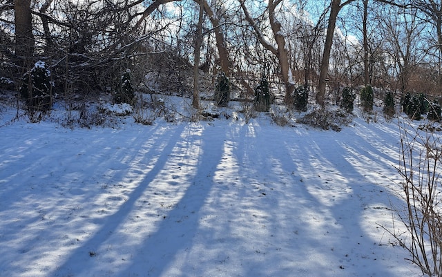 view of yard covered in snow