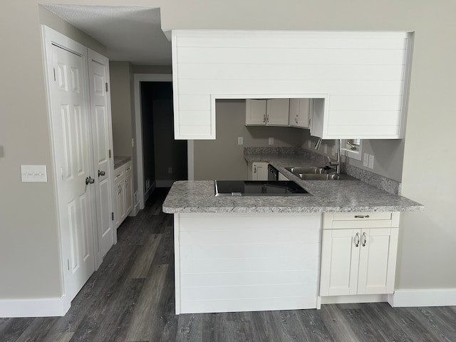 kitchen featuring sink, black electric stovetop, and dark wood-type flooring