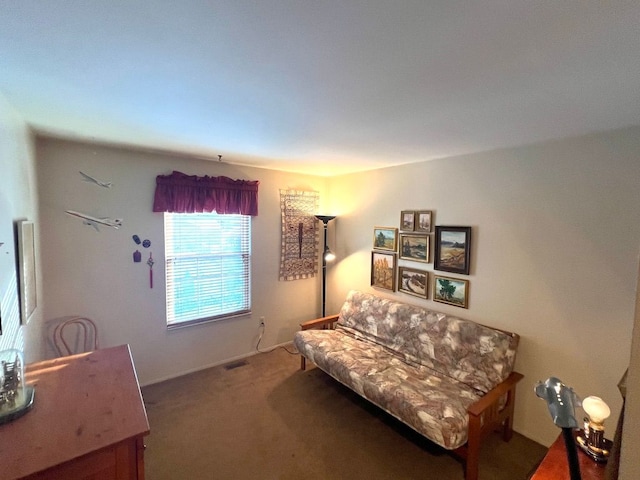 sitting room featuring carpet floors