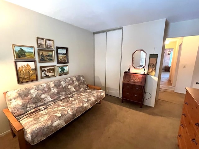 living area featuring carpet