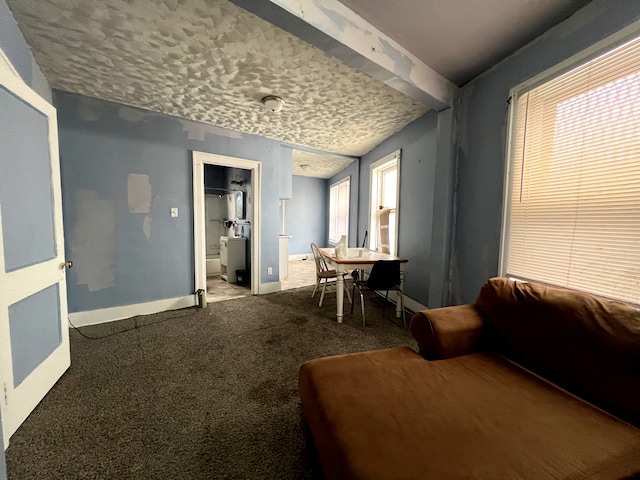 carpeted dining space featuring a textured ceiling