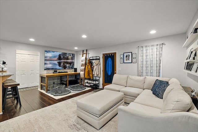 living room featuring dark wood-type flooring