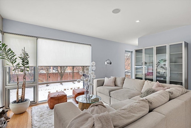 living room featuring hardwood / wood-style flooring