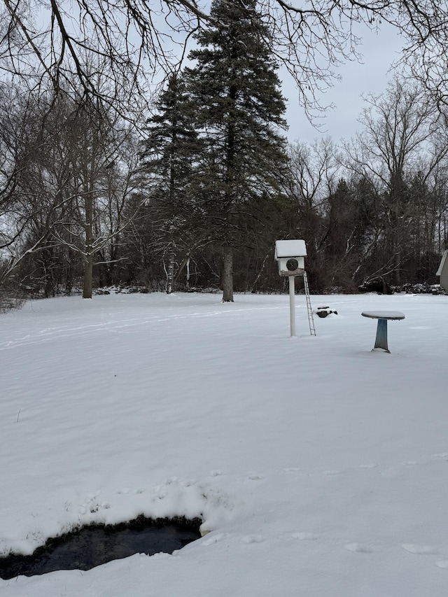 view of yard covered in snow