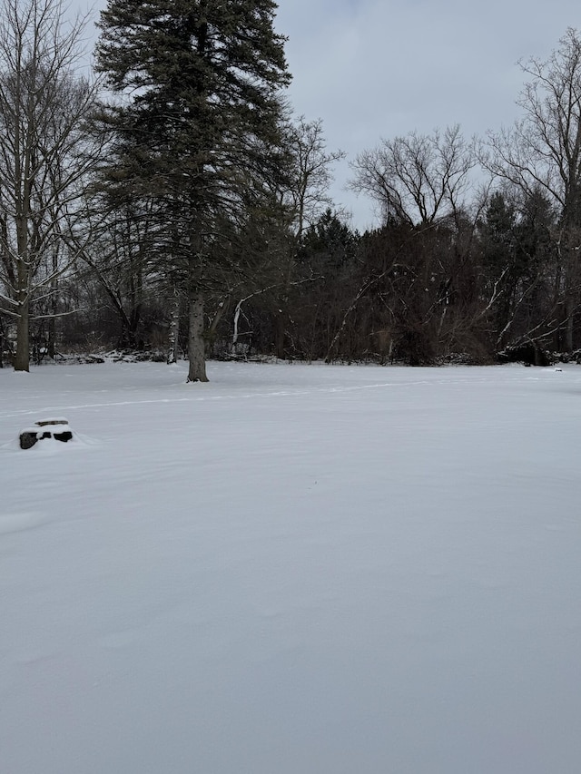 view of yard layered in snow