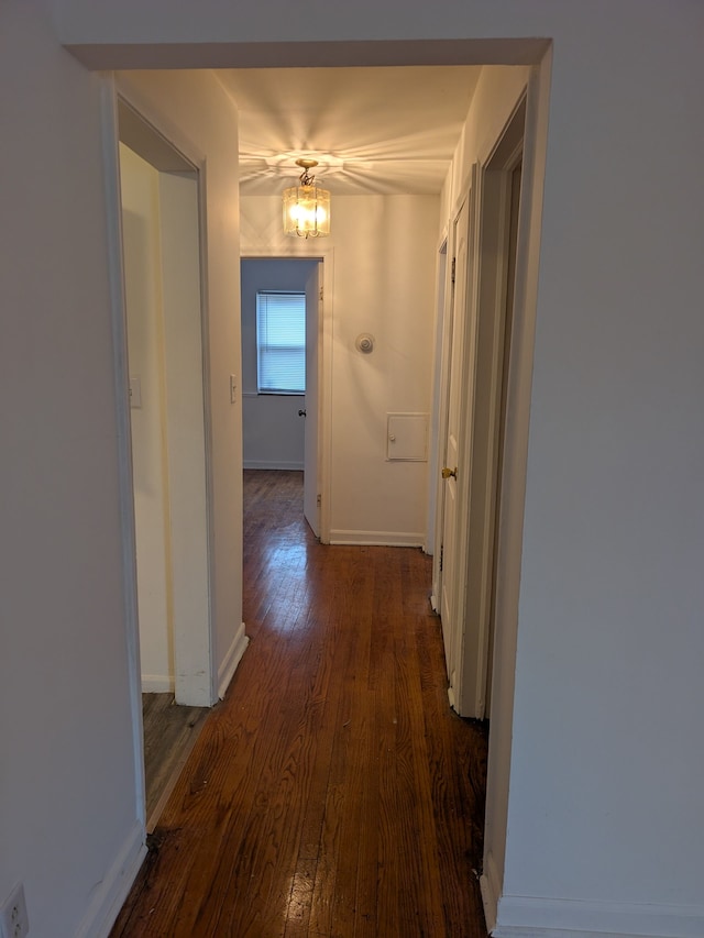 hall featuring dark hardwood / wood-style flooring