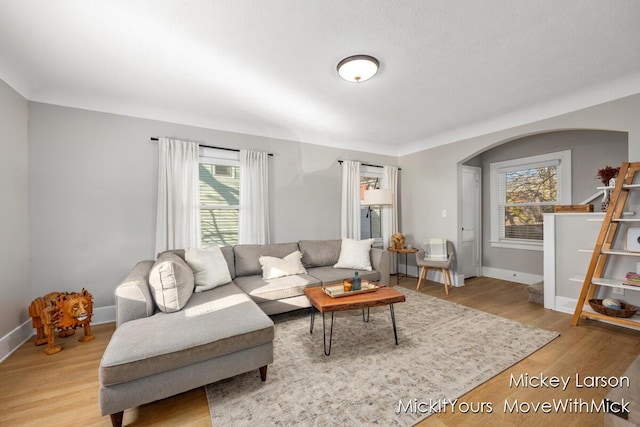 living room featuring hardwood / wood-style floors