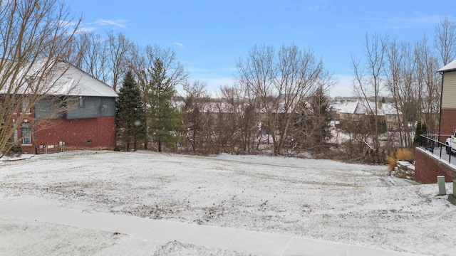 view of yard covered in snow