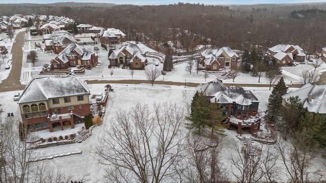 view of snowy aerial view