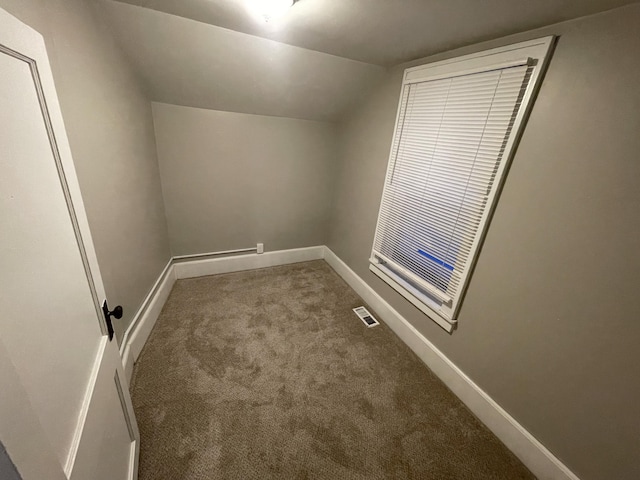 additional living space featuring vaulted ceiling and carpet floors