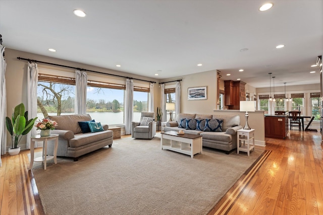 living room featuring a water view and light wood-type flooring