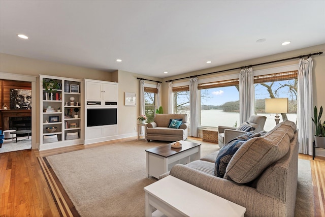 living room with hardwood / wood-style flooring