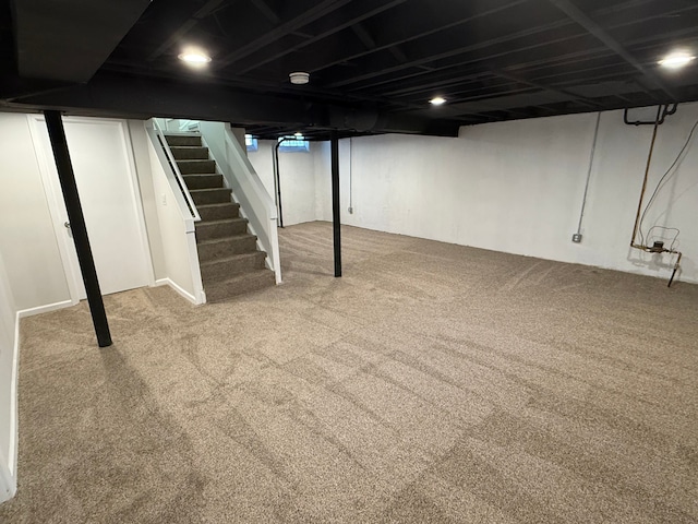 basement featuring carpet