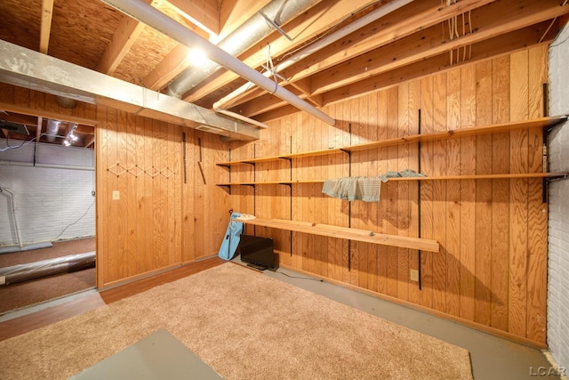 basement featuring wooden walls