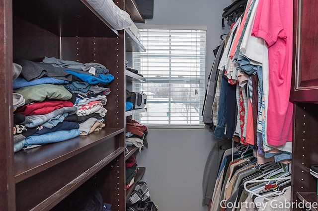 view of spacious closet