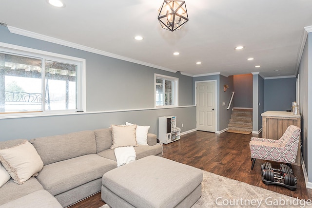 living room with crown molding, dark wood-type flooring, and a chandelier