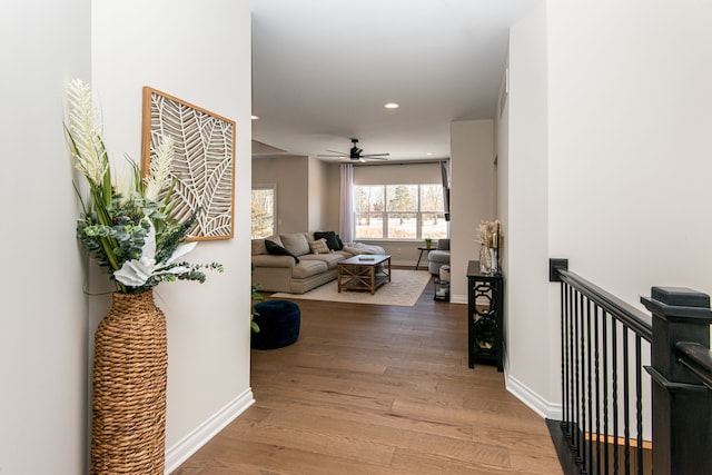 hall featuring wood-type flooring