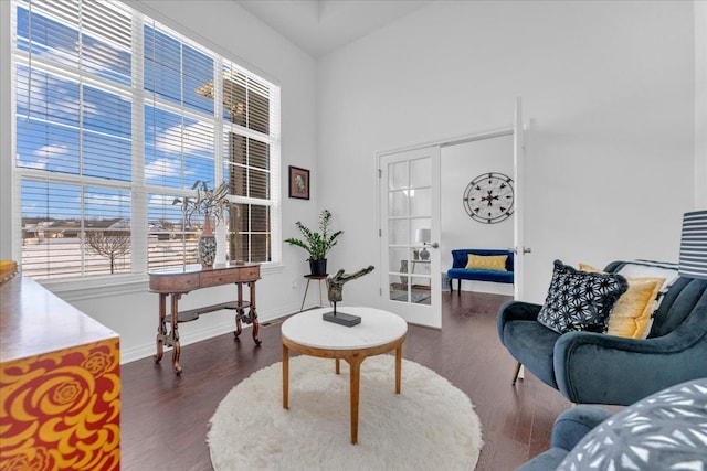 living room with french doors and dark wood-type flooring