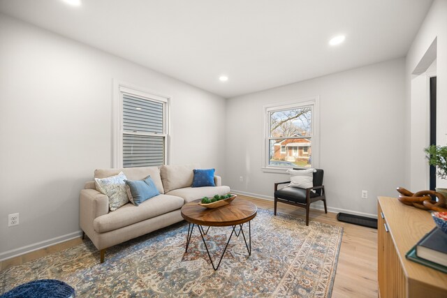 living room featuring light hardwood / wood-style floors