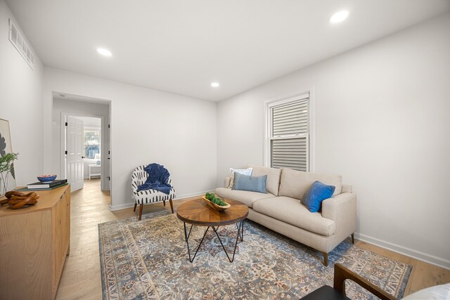 living room featuring light wood-type flooring