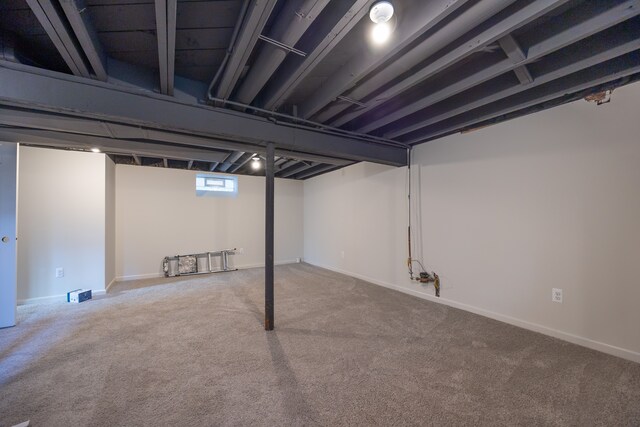 basement featuring carpet