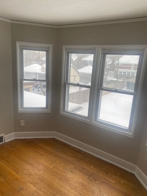 empty room with light hardwood / wood-style flooring, crown molding, and plenty of natural light