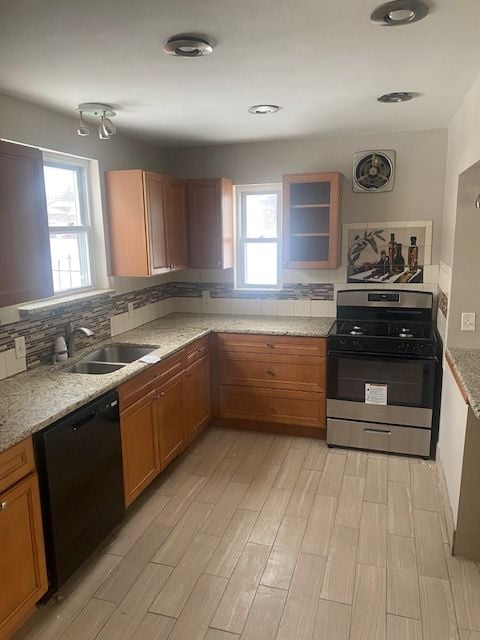 kitchen featuring sink, dishwasher, gas stove, and plenty of natural light