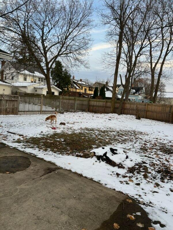 view of snowy yard