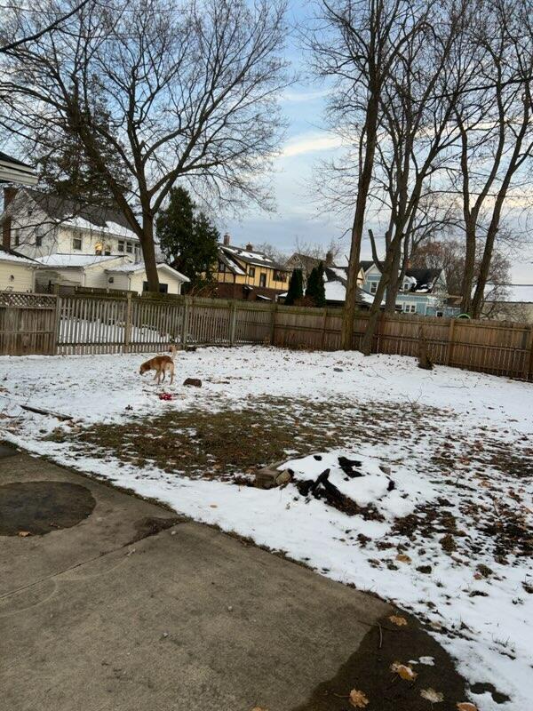 709 Griswold St, Jackson, MI 49203 - photo 20