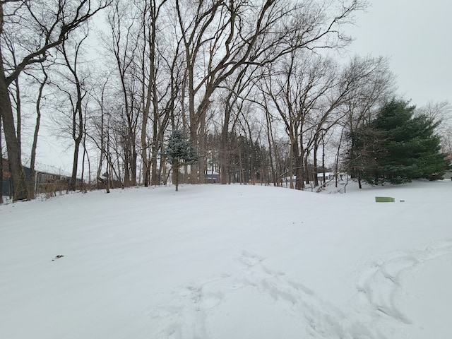 view of yard covered in snow