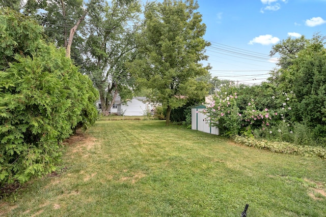 view of yard with a storage unit