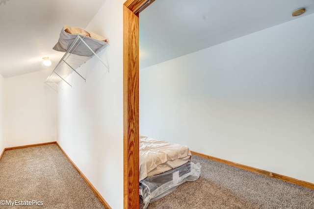 walk in closet featuring carpet and vaulted ceiling