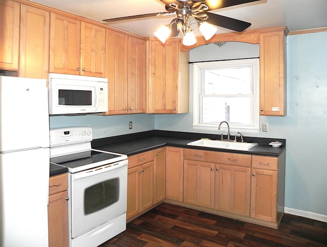 kitchen with sink, white appliances, ceiling fan, and dark hardwood / wood-style floors