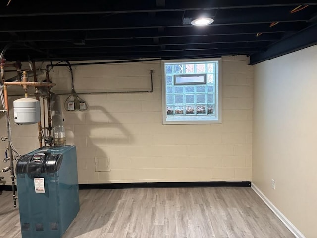 basement featuring wood-type flooring