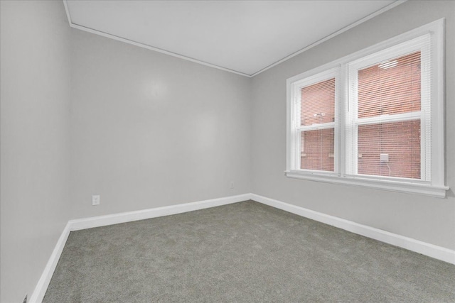 spare room featuring carpet flooring and ornamental molding