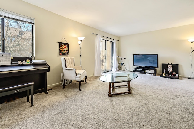 living area featuring carpet floors