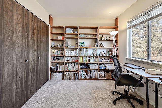 office featuring carpet flooring