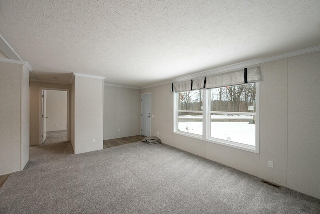 spare room featuring carpet flooring and crown molding