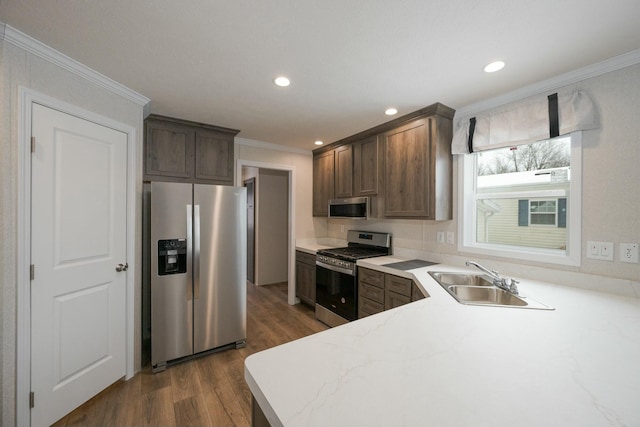 kitchen with sink, dark brown cabinetry, dark hardwood / wood-style flooring, crown molding, and appliances with stainless steel finishes