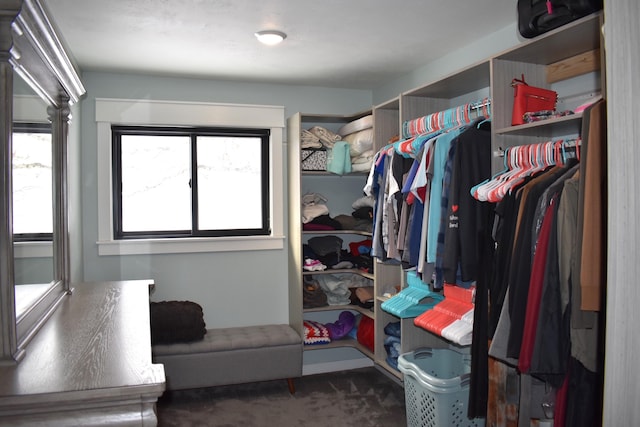 walk in closet with dark carpet